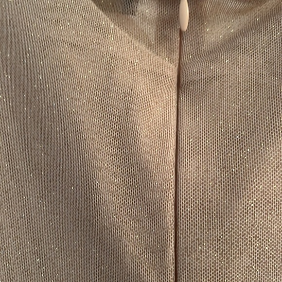 Sparkly Light Gold Dress NWT - Picture 4 of 5